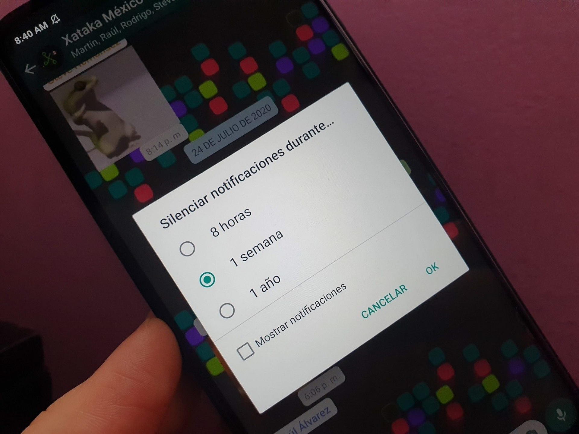 Ahora WhatsApp permitirá silenciar chats y grupos para siempre, según WABetaInfo