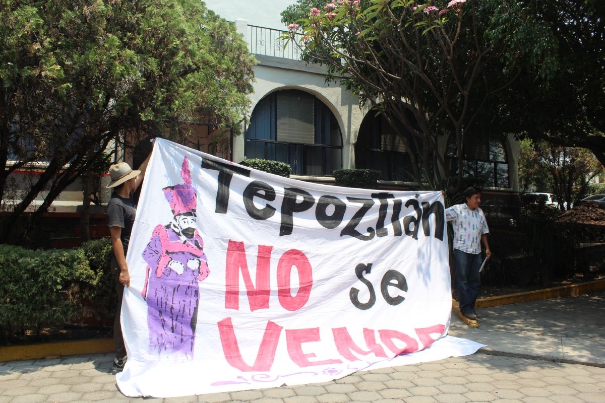Vecinos de Tepoztlán denuncian a constructora por supuesta tala ilegal