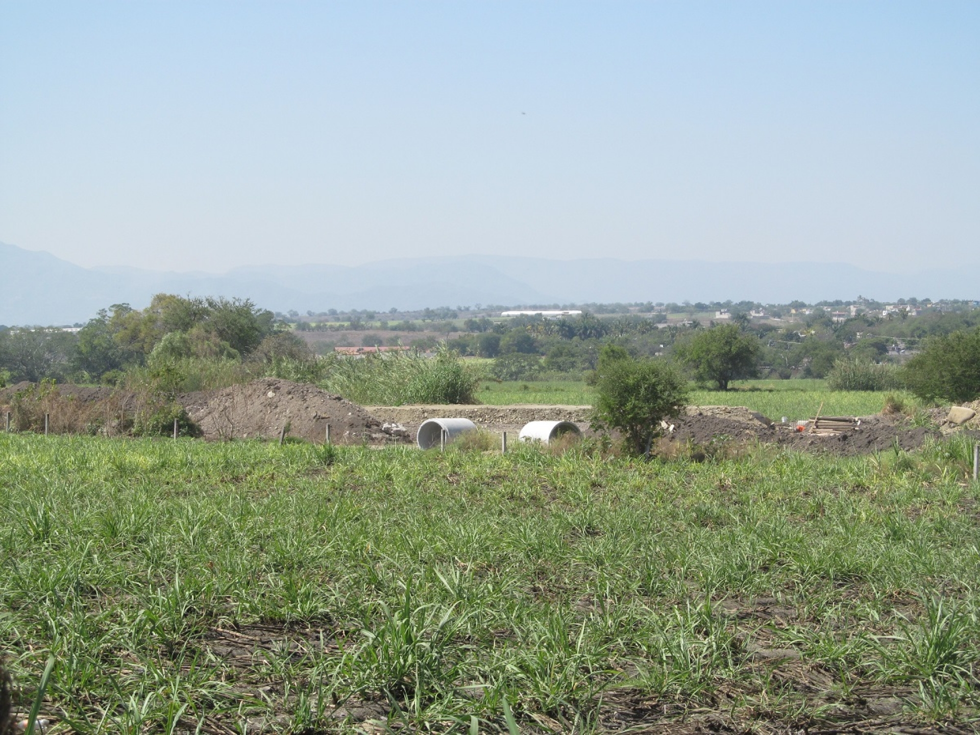 Del 40%, la pérdida de agua para el riego agrícola: Sedagro