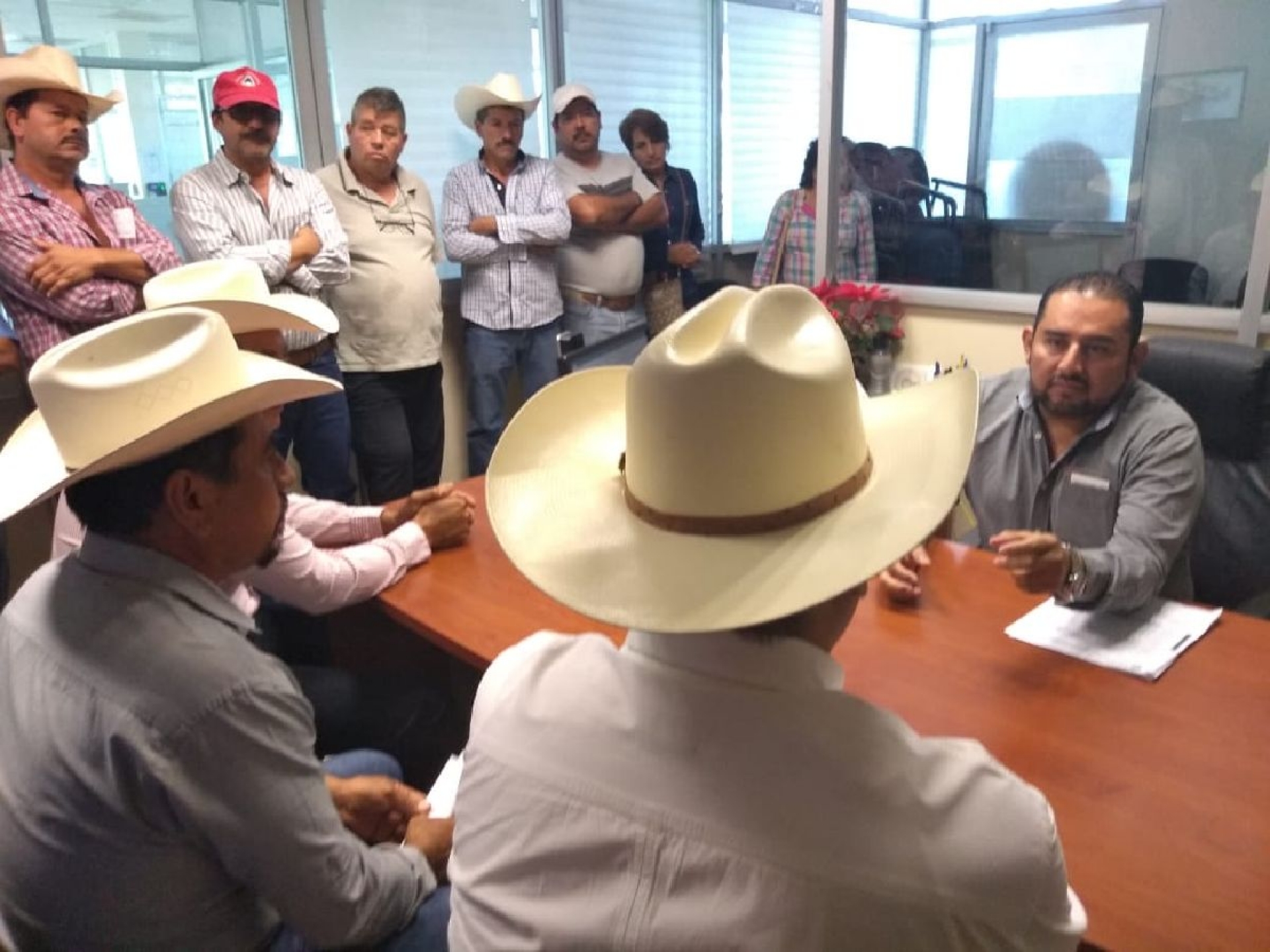 Demandan esclarecimiento de robo masivo de ganado