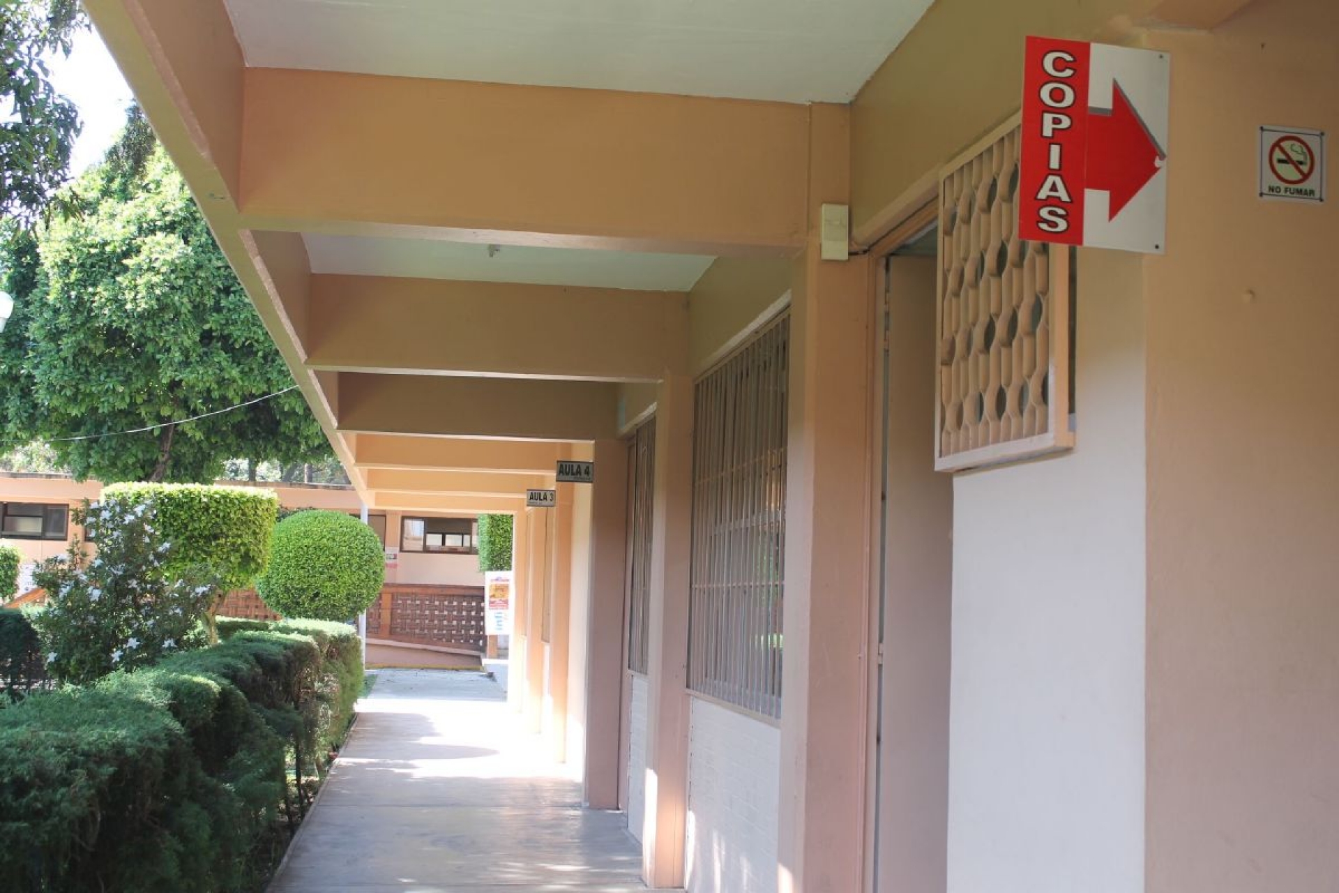 Anula juez convocatoria para elección en Facultad de Derecho