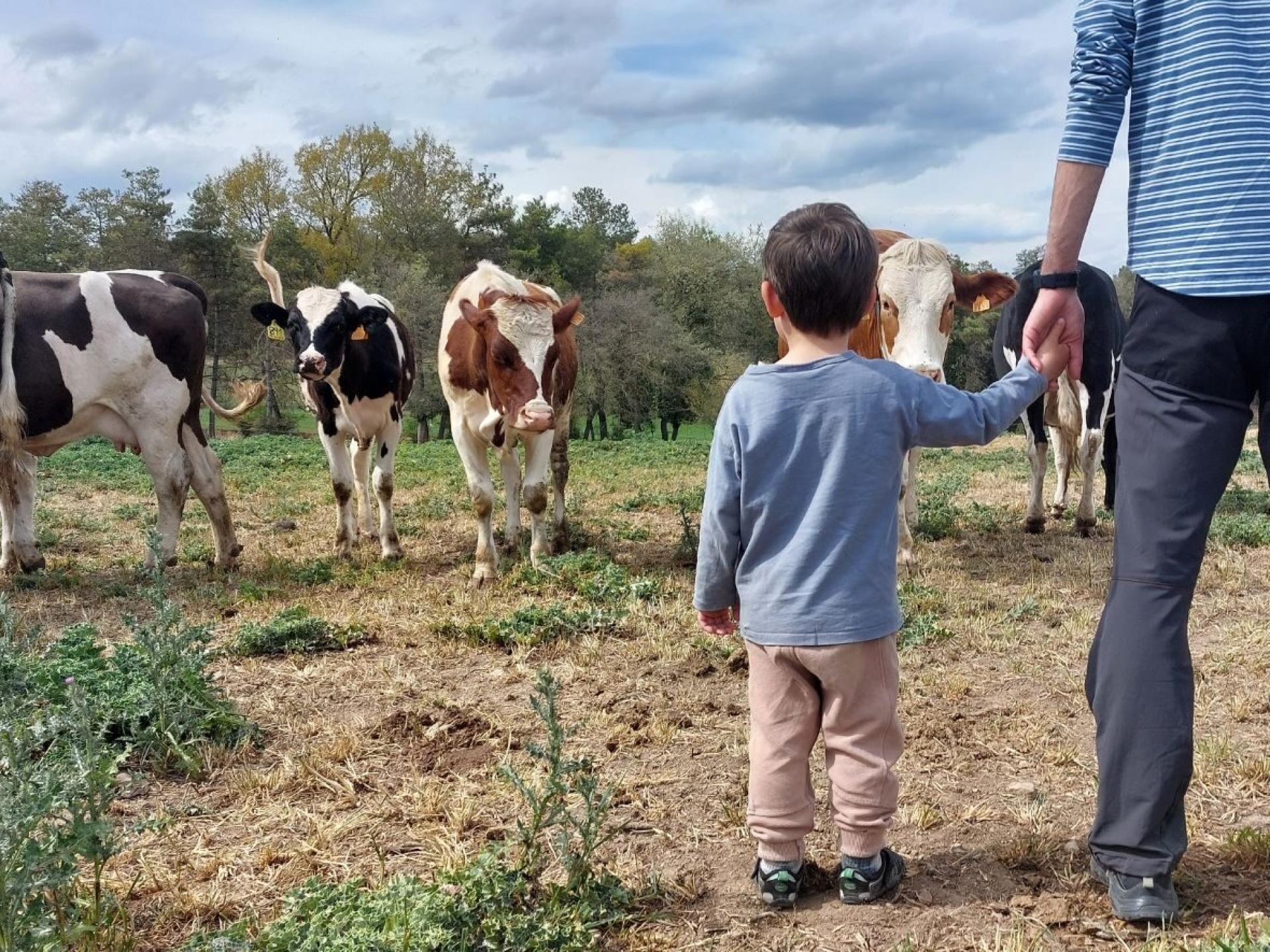 Criarse con mascotas o en granjas reduce las alergias en niños, según estudio