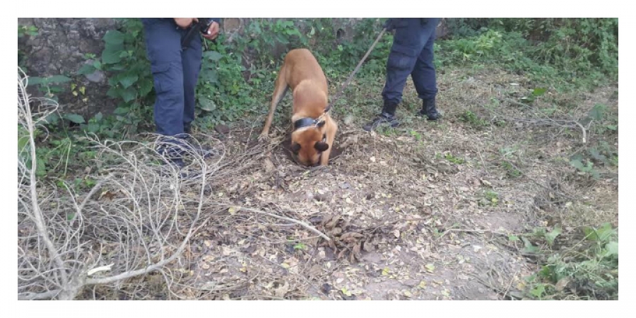 Localizan dos cuerpos en fosa clandestina en Puente de Ixtla