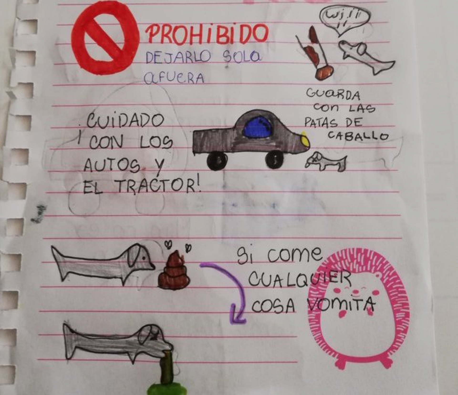 Se va de vacaciones y deja un manual para que cuiden a su mascota