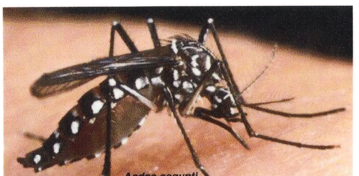 Son 13 los casos de zika confirmados en Morelos
