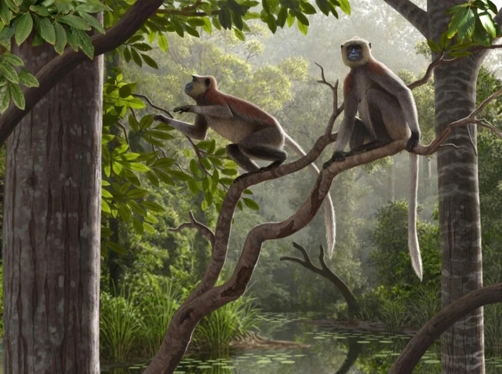 Fósil de nueva especie en Egipto redefine el origen de simios modernos