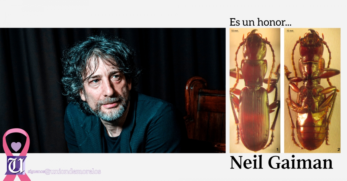 Nombran a un insecto en honor a Neil Gaiman
