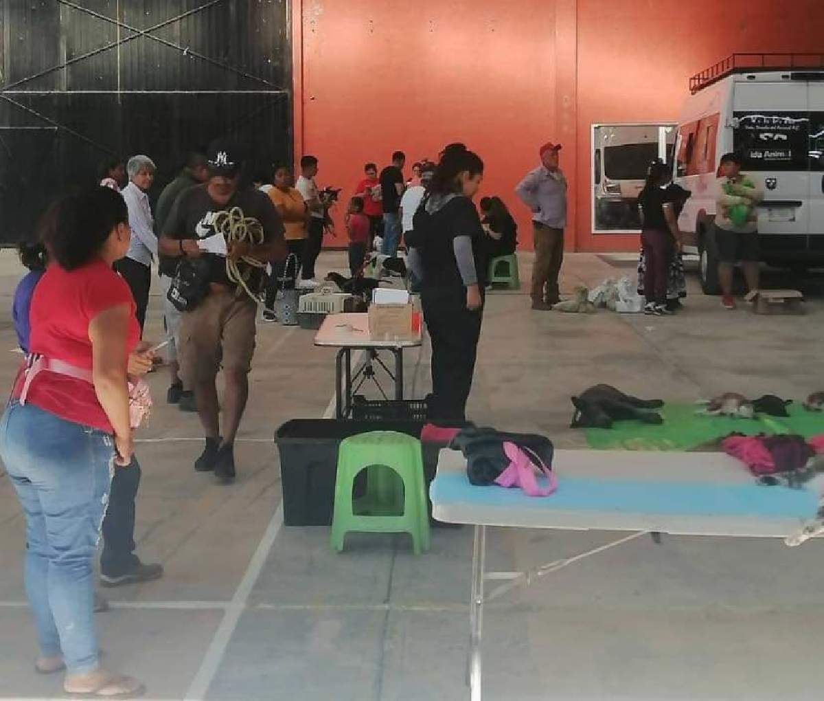 Realizan jornada de esterilización canina y felina en Tetecala