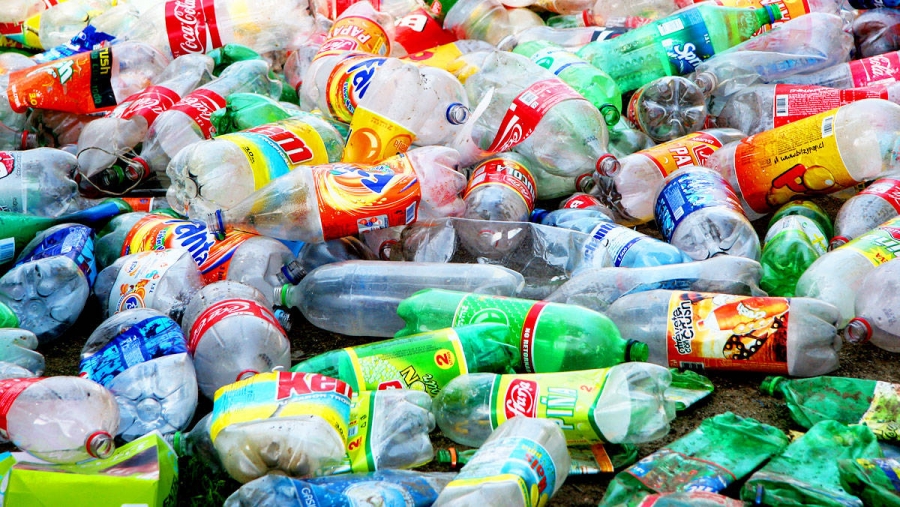 Descubren una bacteria que se alimenta de plástico