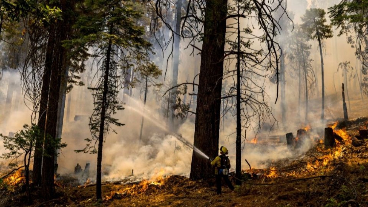 Ola de calor sin precedentes quema a Estados Unidos