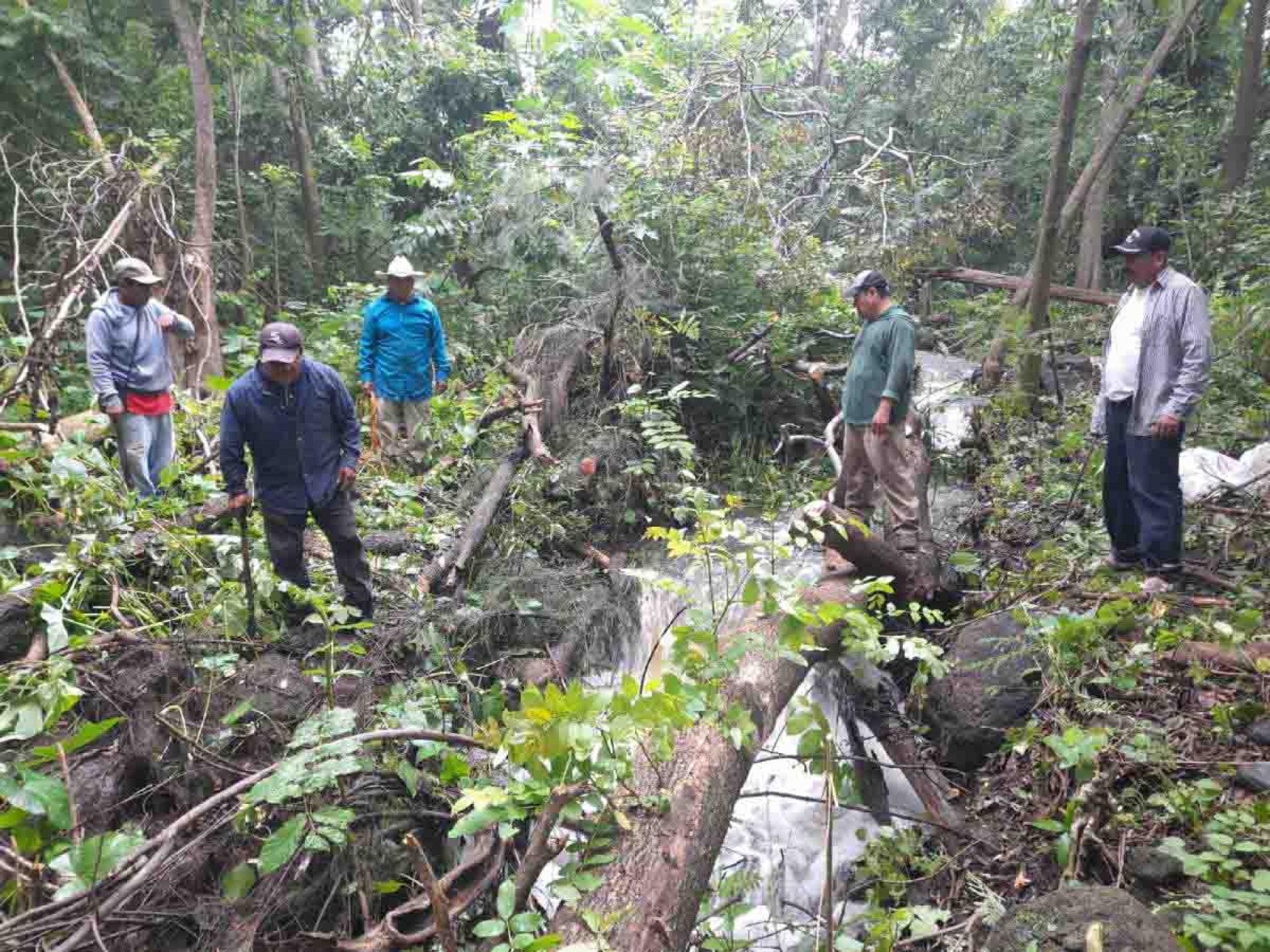 Buscan captar 100% del nivel de la laguna de Coatetelco