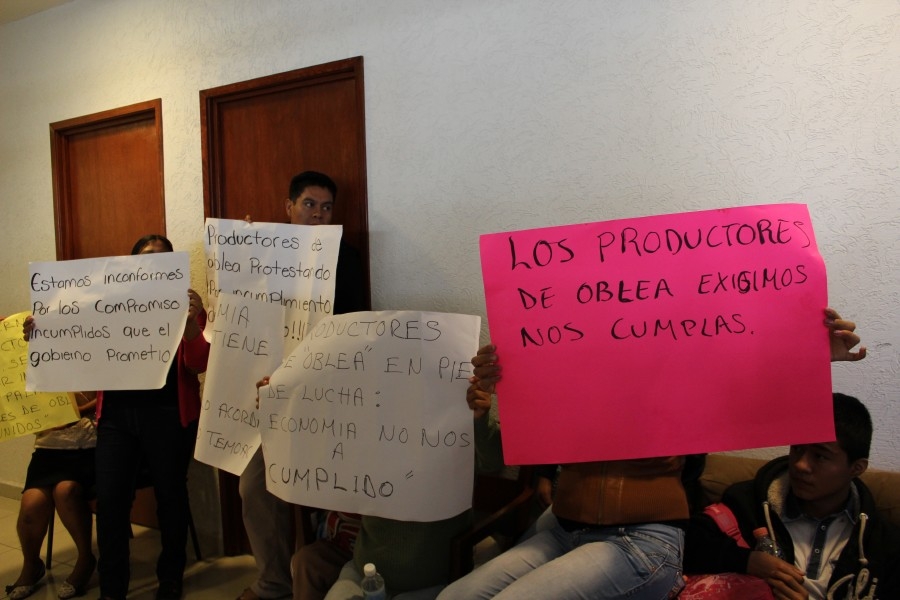 Productores de amaranto reclaman la entrega de apoyos prometidos por el gobierno