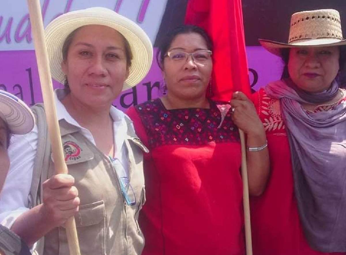 Sin recursos, no se puede implementar políticas a favor de las mujeres: CIOAC