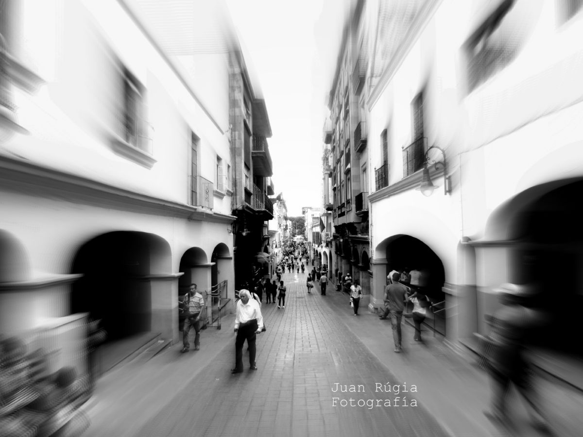Ánima