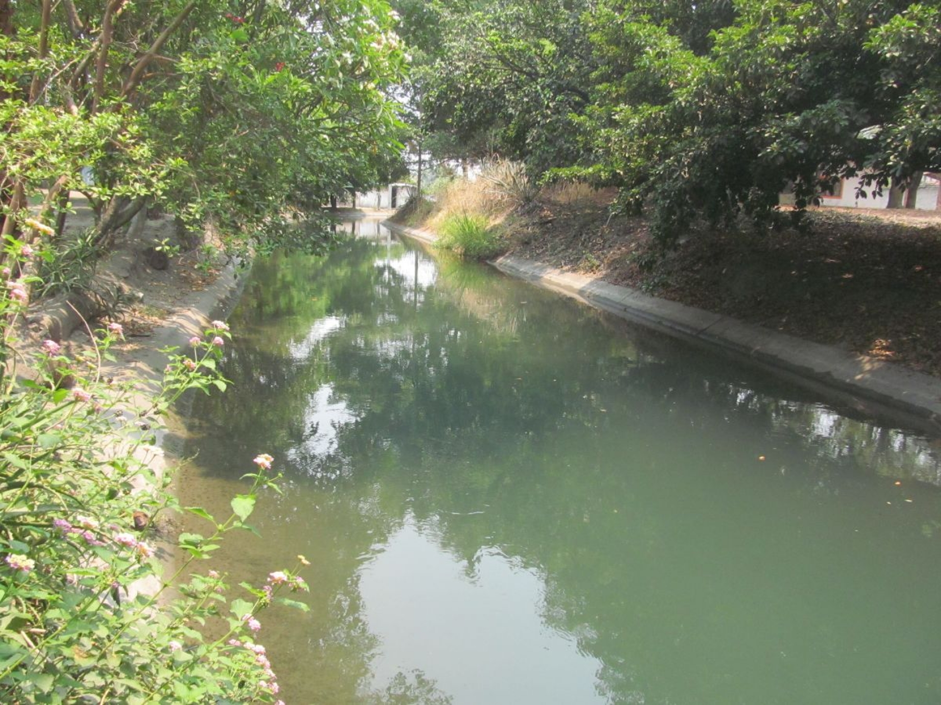 Alertan sobre contaminación de canal de riego en Zacatepec