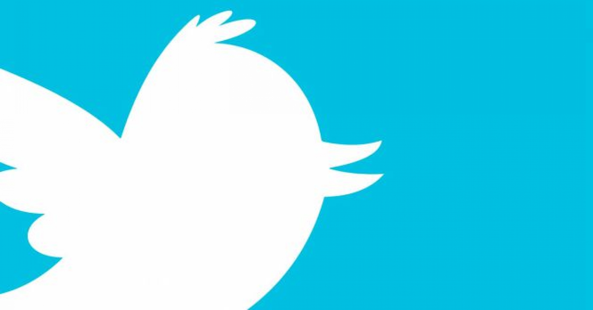 La eterna cruzada de Twitter contra los usuarios irrespetuosos: elimina en tres meses 100.000 cuentas