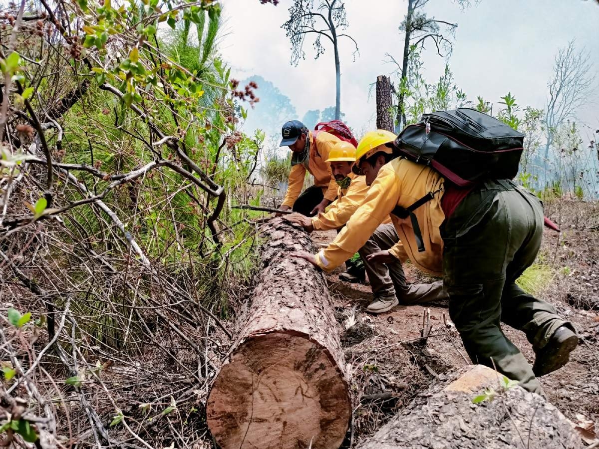Casi controlado, incendio forestal en Santa María