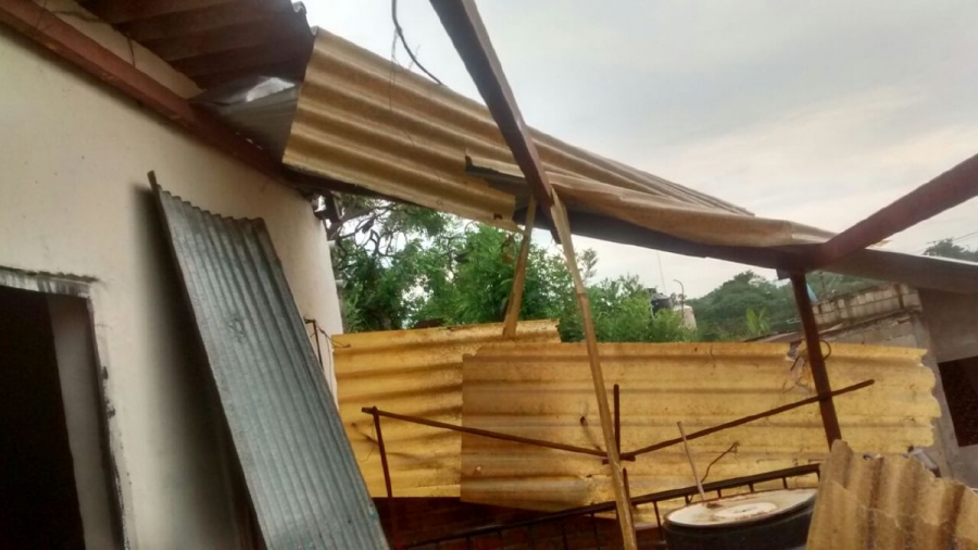 Lluvias provocaron la caída de 55 árboles y daños en ocho casas de Mazatepec