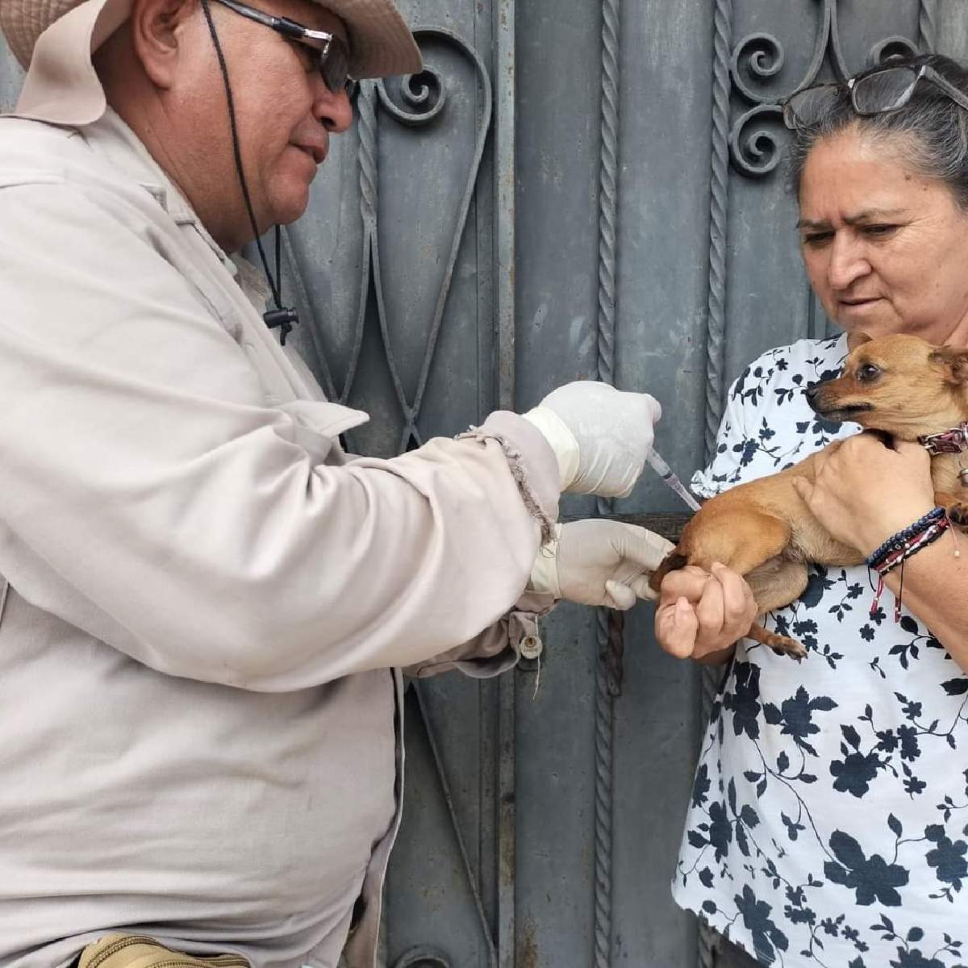 Mantienen campaña de vacunación antirrábica en Mazatepec
