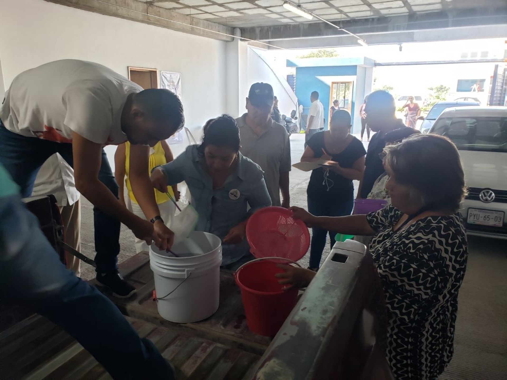 Con pez tilapia combaten mosco transmisor del dengue en Jojutla