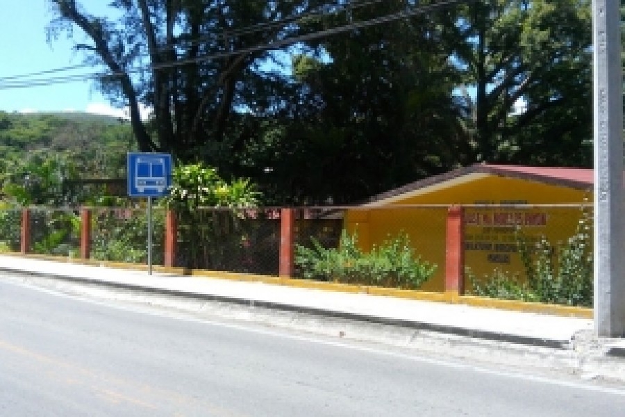 Denuncian omisión de autoridades de Tetecala para retirar un panal de abejas cerca de una primaria