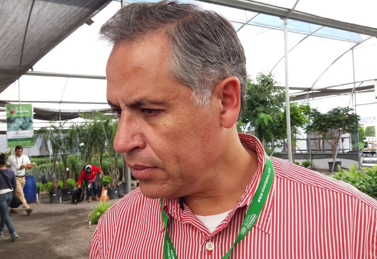Activa Sedagro seguro catastrófico ante daños en cultivos por las lluvias