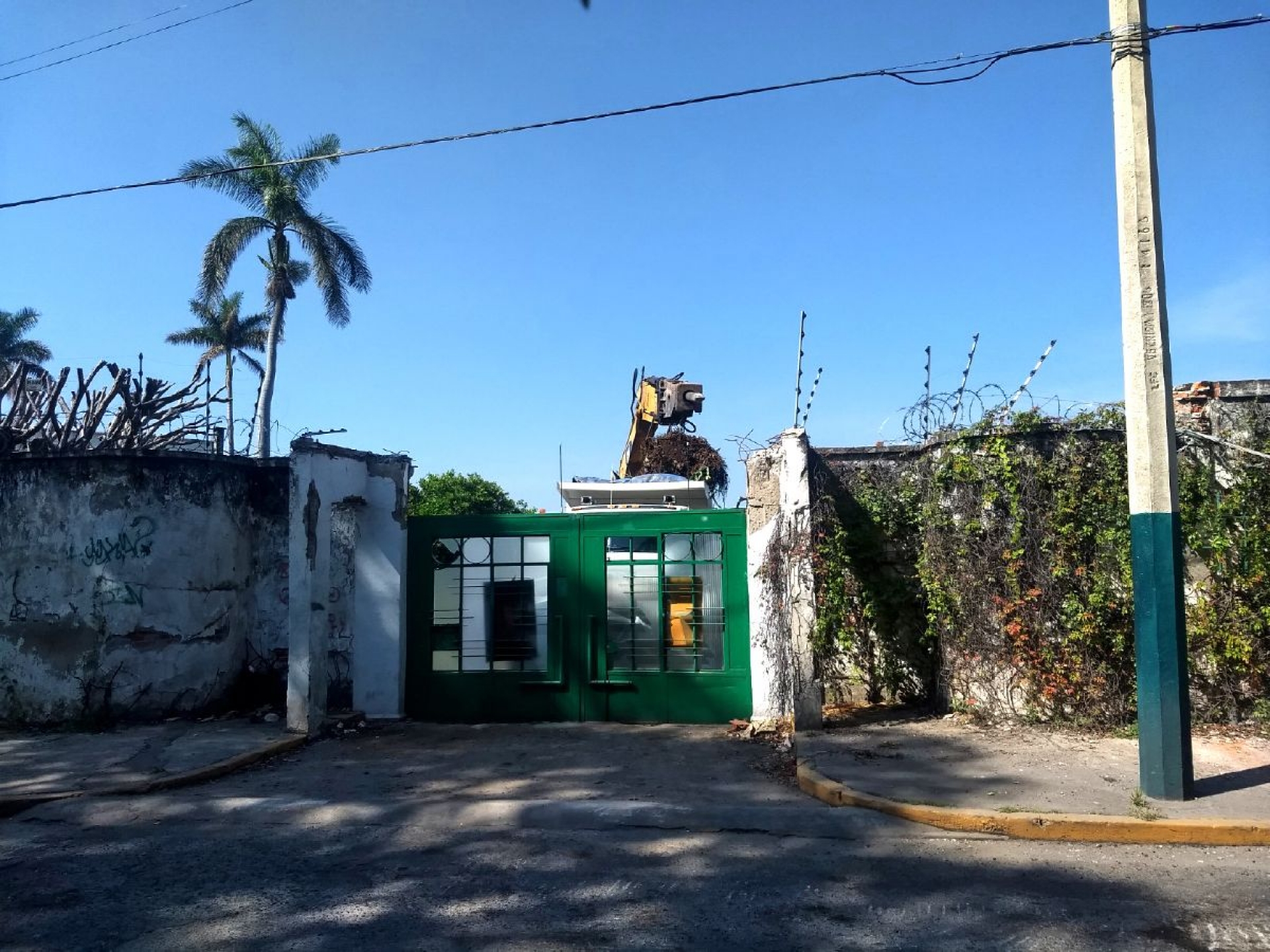 Talan árboles en Chulavista para construir condominios