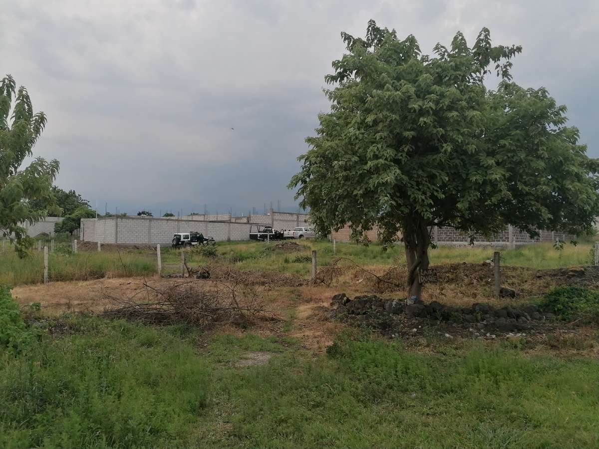Encuentran un cadáver lapidado en Loma Bonita