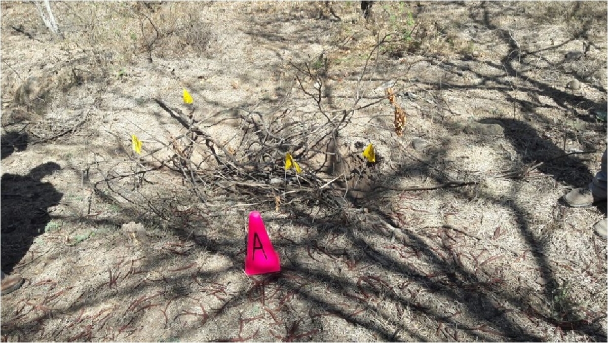 Identifican a dos de las ocho víctimas halladas en fosas
