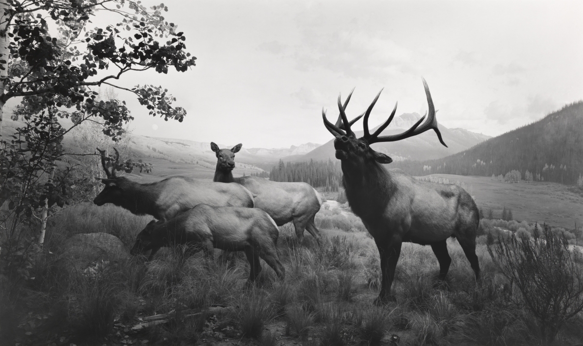 Hiroshi Sugimoto: maestro de la mirada y de la luz