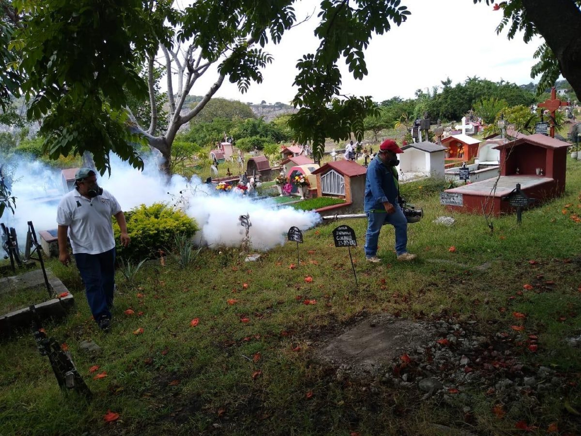 Alistan operativo integral contra mosco