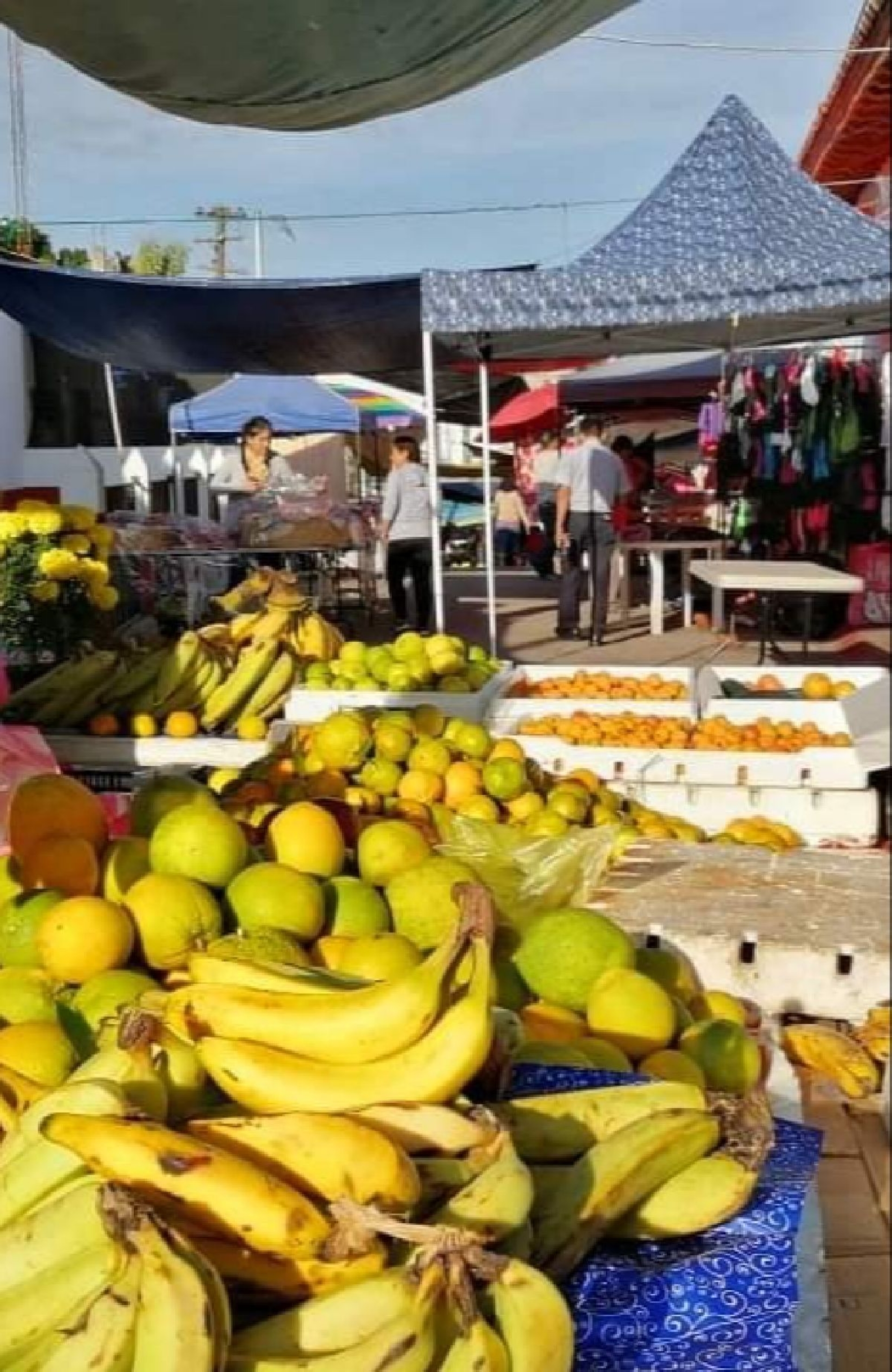 Comerciantes de Tetecala reportan bajas ventas durante Días de Muertos