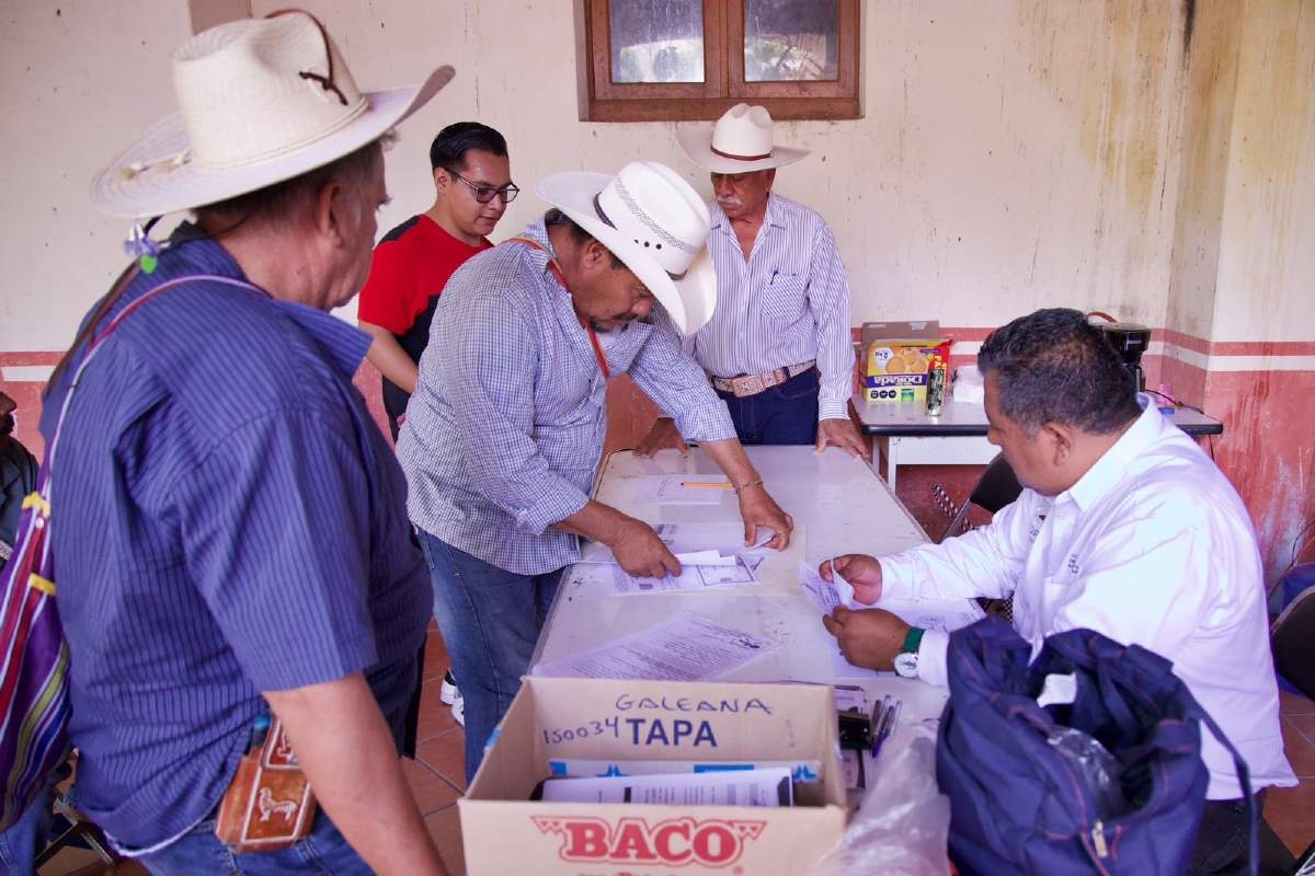 Realizan censo de agaveros de Tlaquiltenango