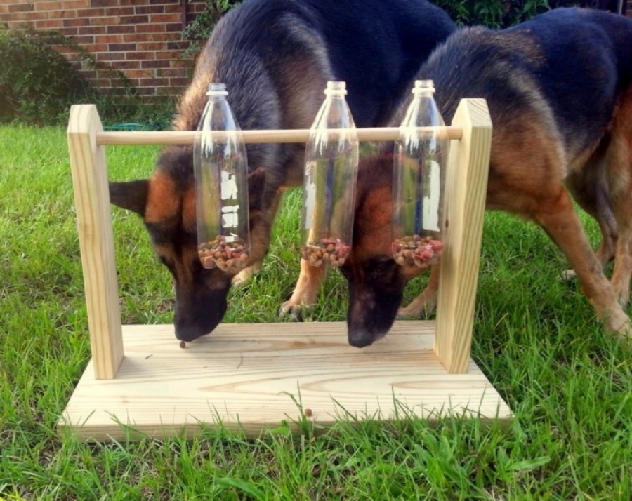 Cómo hacer un comedero-juguete para perros con botellas de plástico
