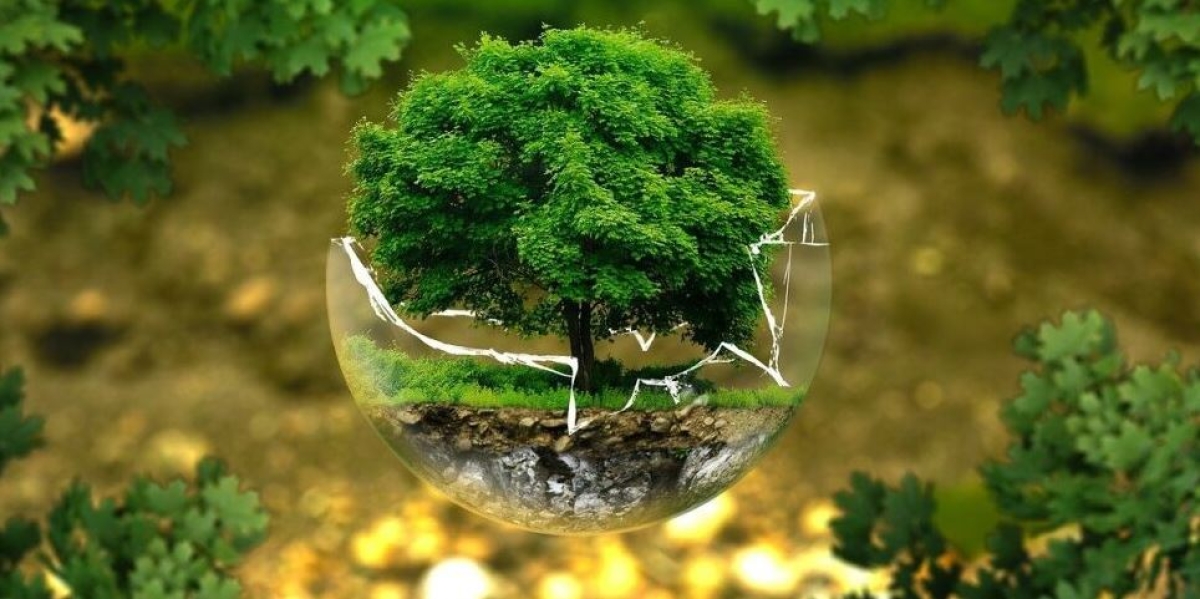 3 desastres climáticos que la humanidad ha evitado