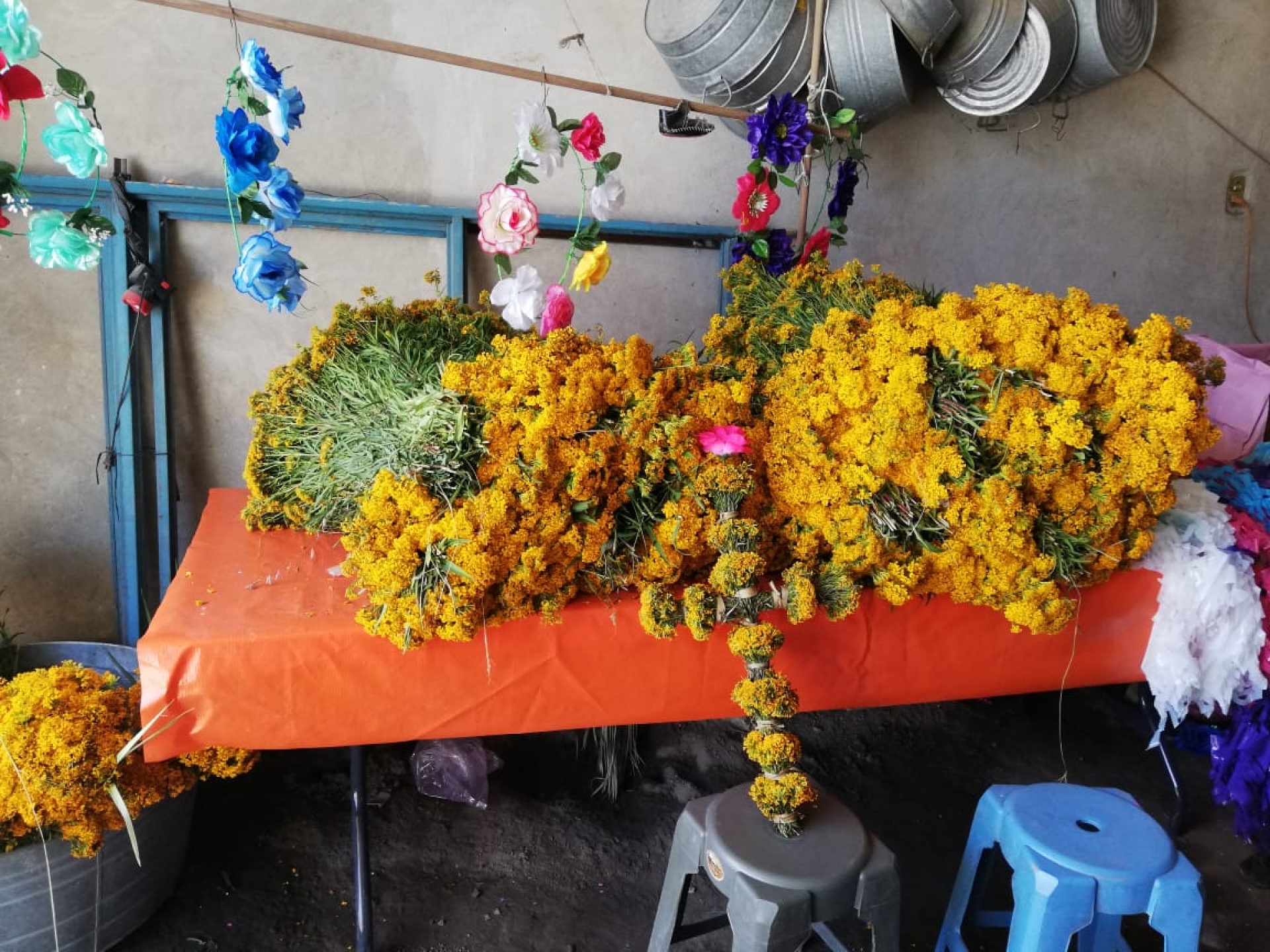 Arraigo de tradiciones en Coatetelco da buenas ventas a comerciantes de flor de pericón