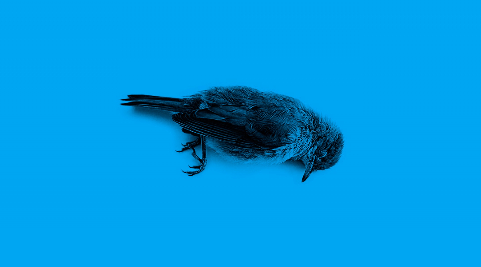 Twitter pide cambiar todas las contraseñas tras un error de seguridad