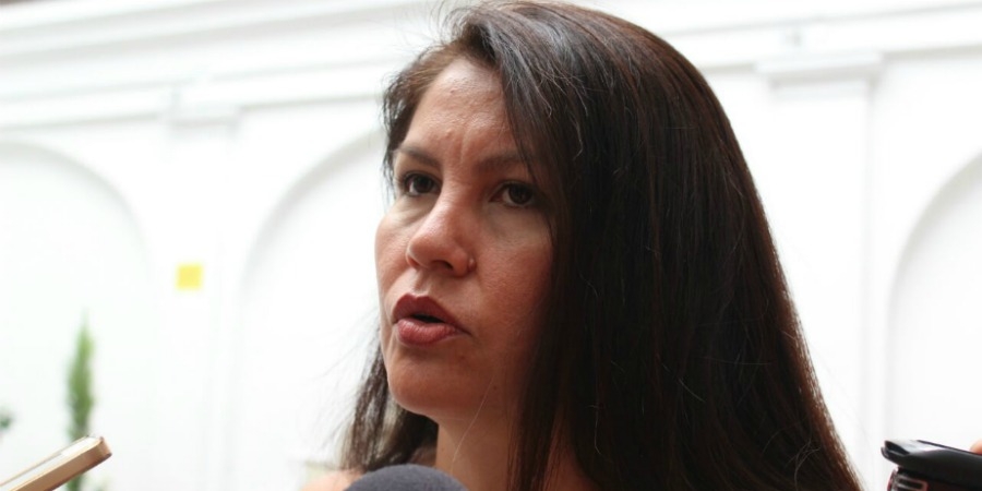 Problema en materia de seguridad no se resuelve con la renuncia de un funcionario: diputada