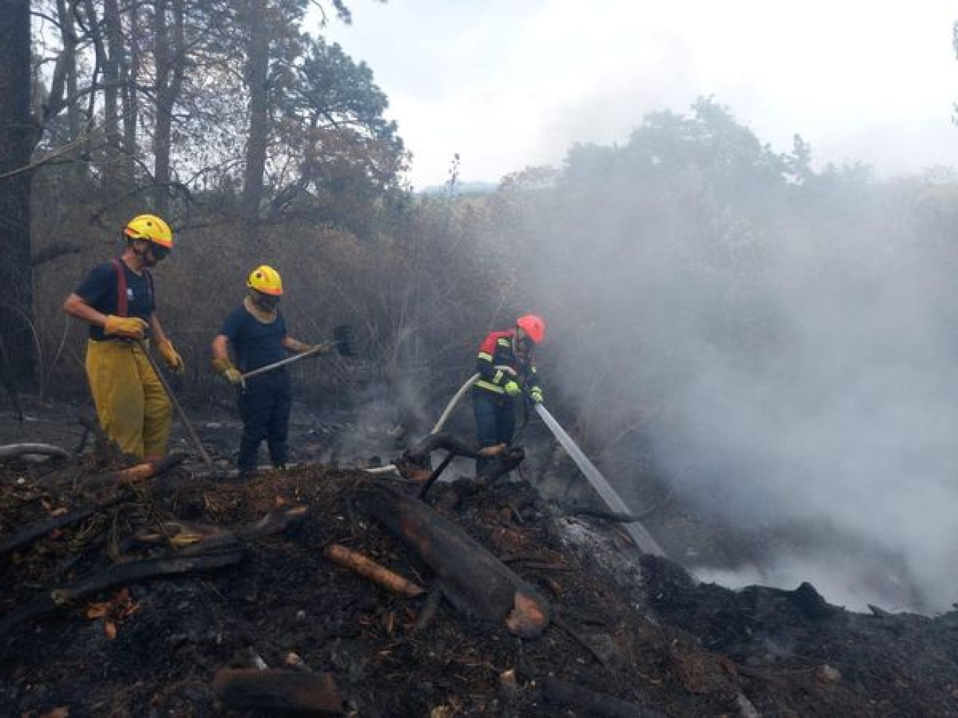 80% de control y 70% de liquidación en incendio forestal de paraje 'El Capote'