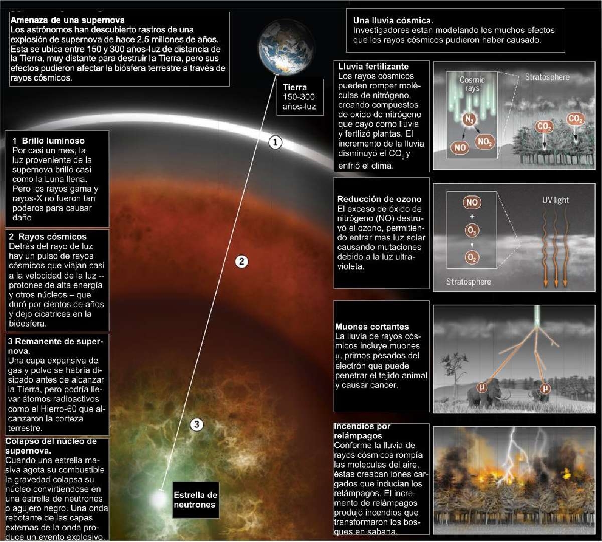 Las explosiones de supernova y sus efectos en la vida terrestre
