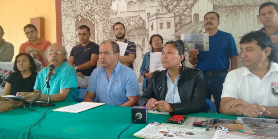 Organizaciones sociales denuncian un ecocidio en el centro de Cuernavaca