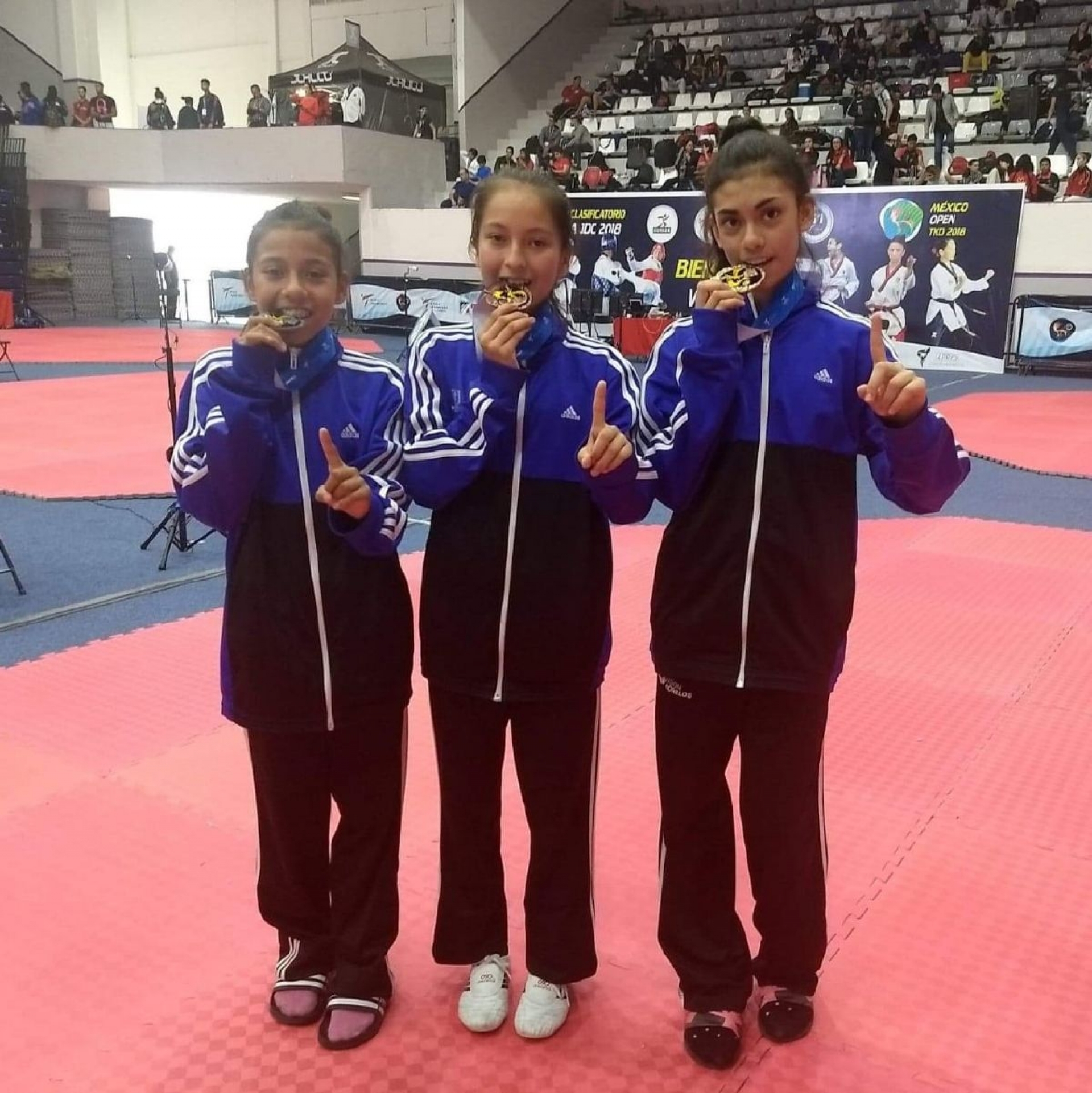 Taekwondoínes morelenses asistirán al México Open 2019