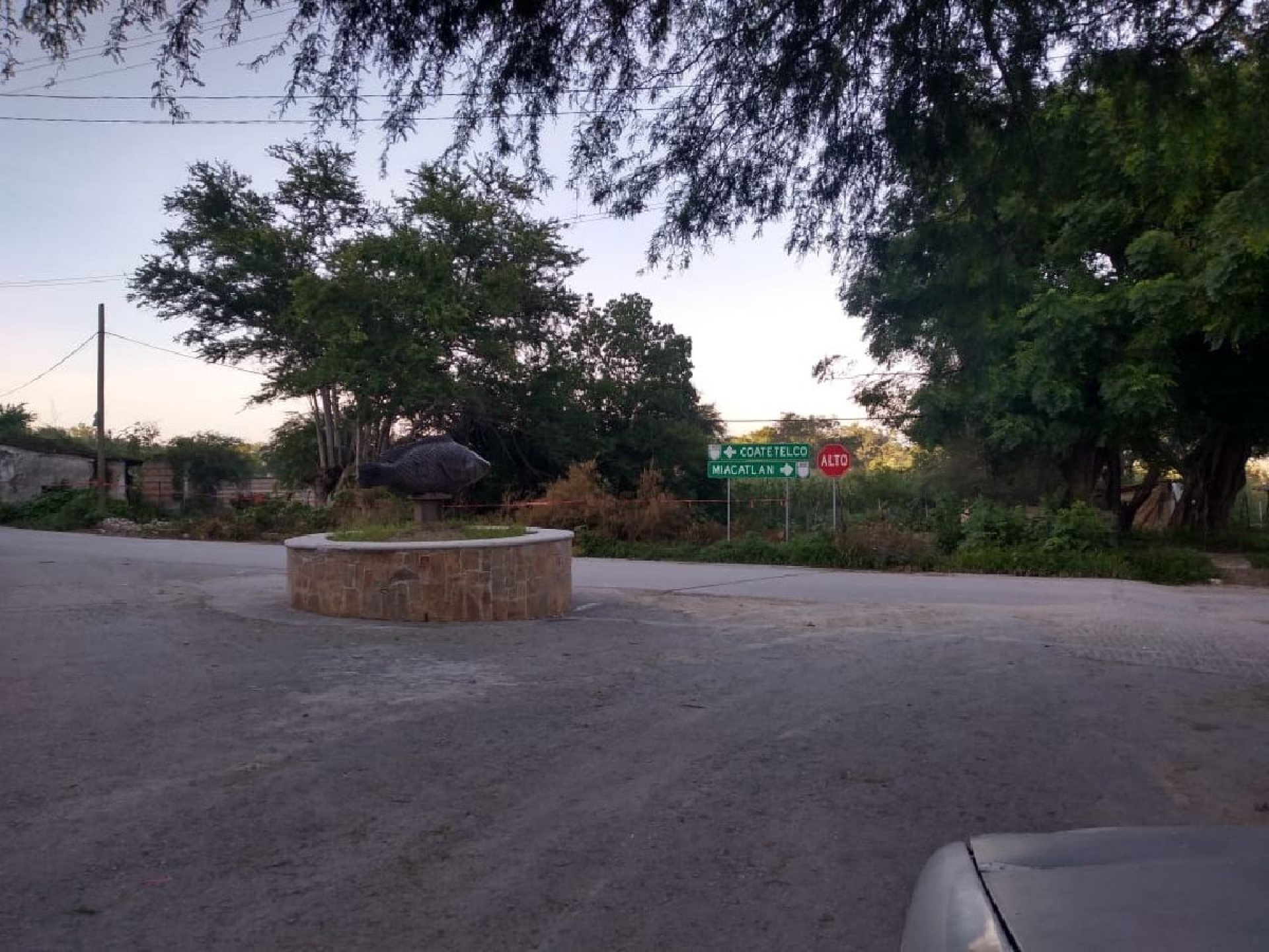 Reiteran llamado a suspender obra en zona de la laguna de Coatetelco