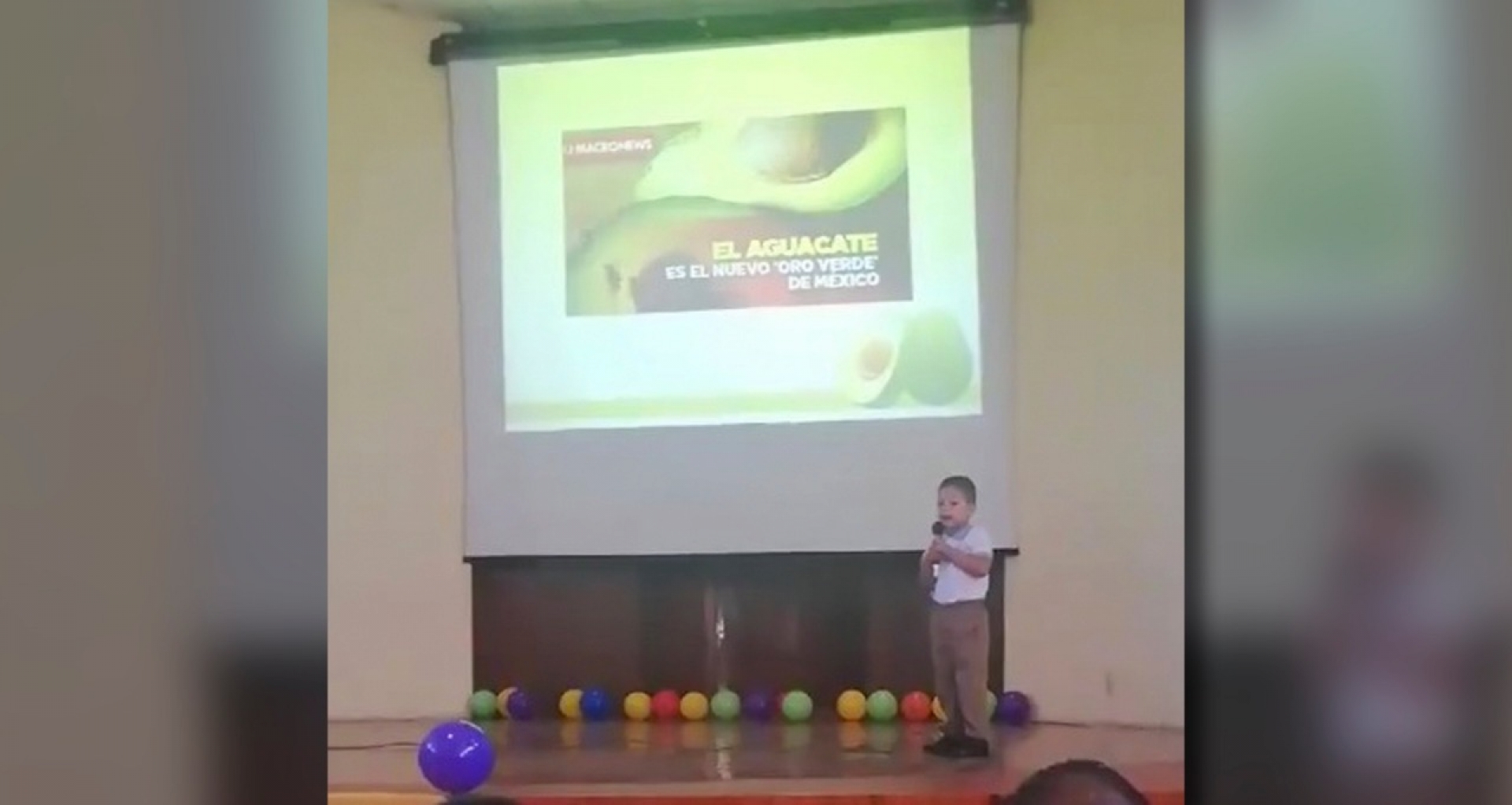 VIDEO: Asómbrate con la exposición de este pequeño sobre el 'Oro Verde': Aguacate