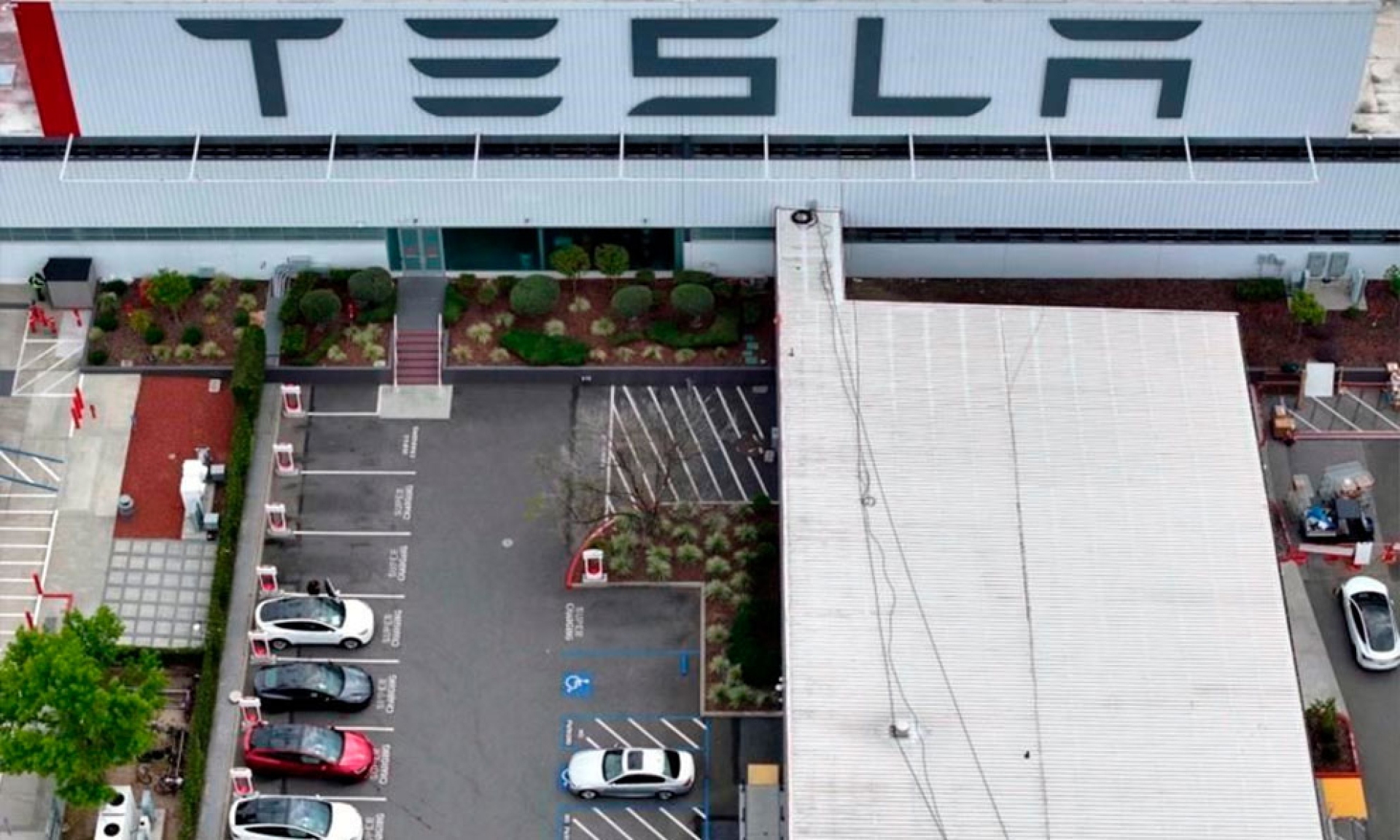 Elon Musk sortea tour exclusivo por la gigafábrica de Tesla