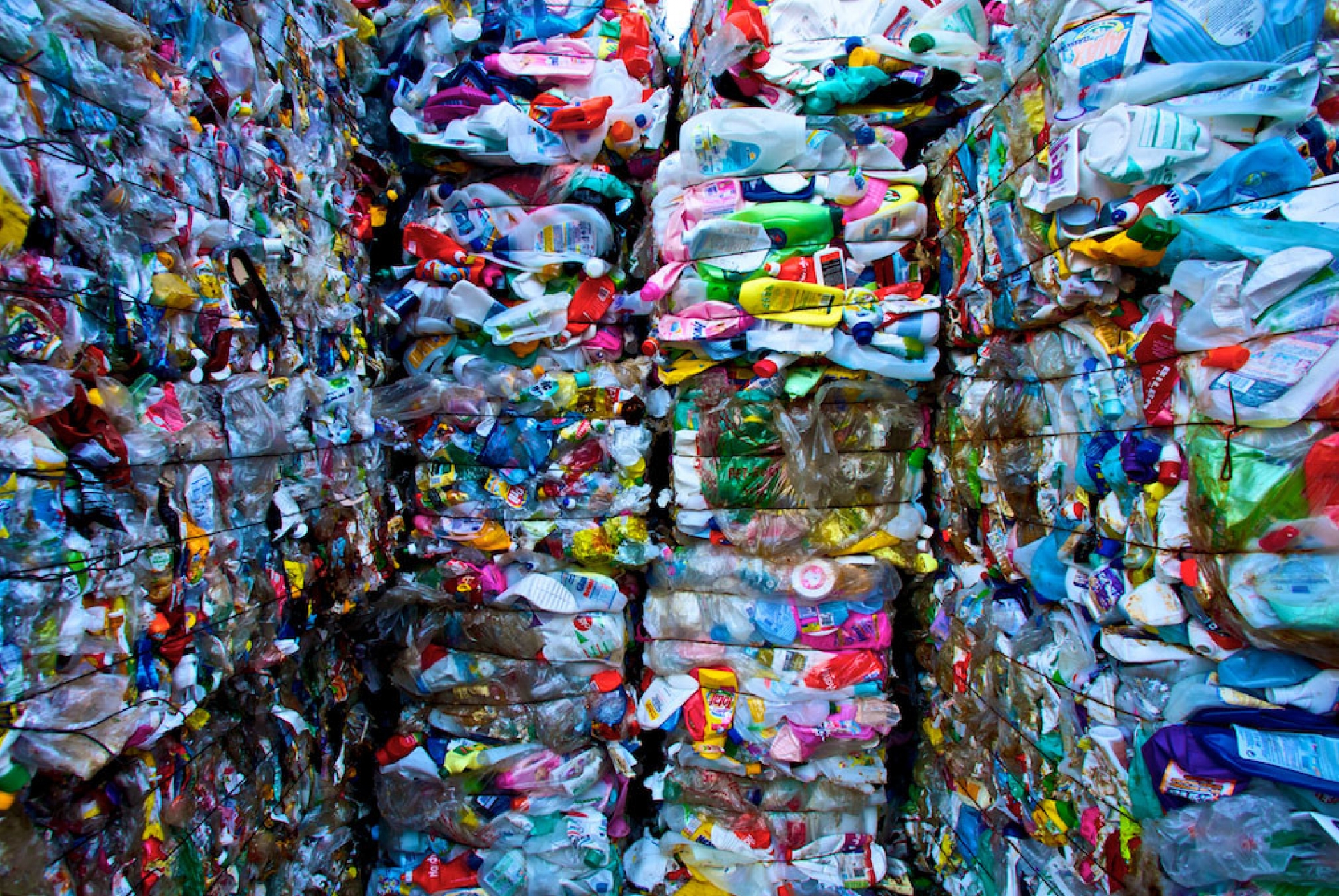 Bioplásticos, la mejor alternativa ante la crisis de contaminantes en México