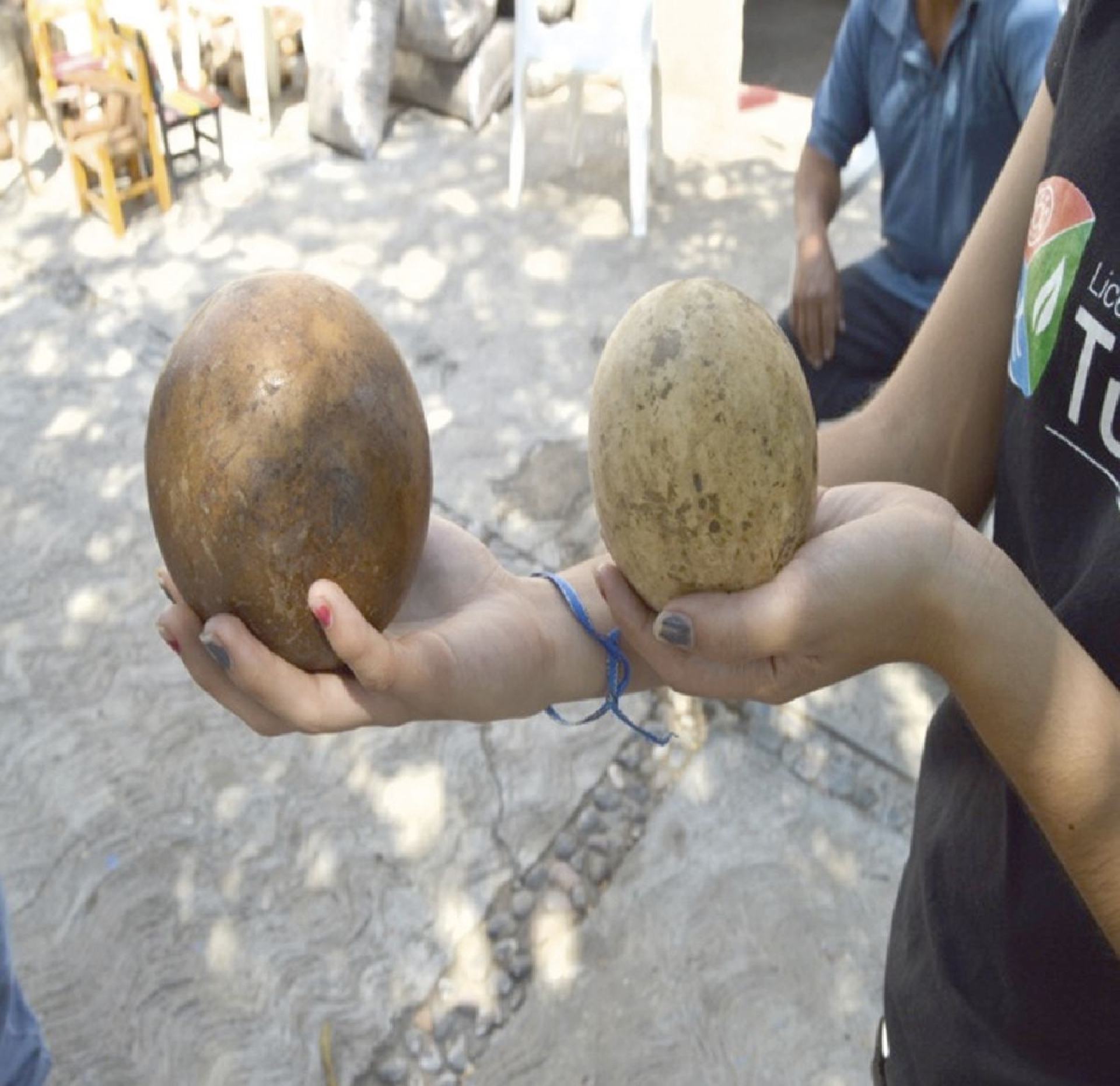 Historia y maracas en Huajintlán