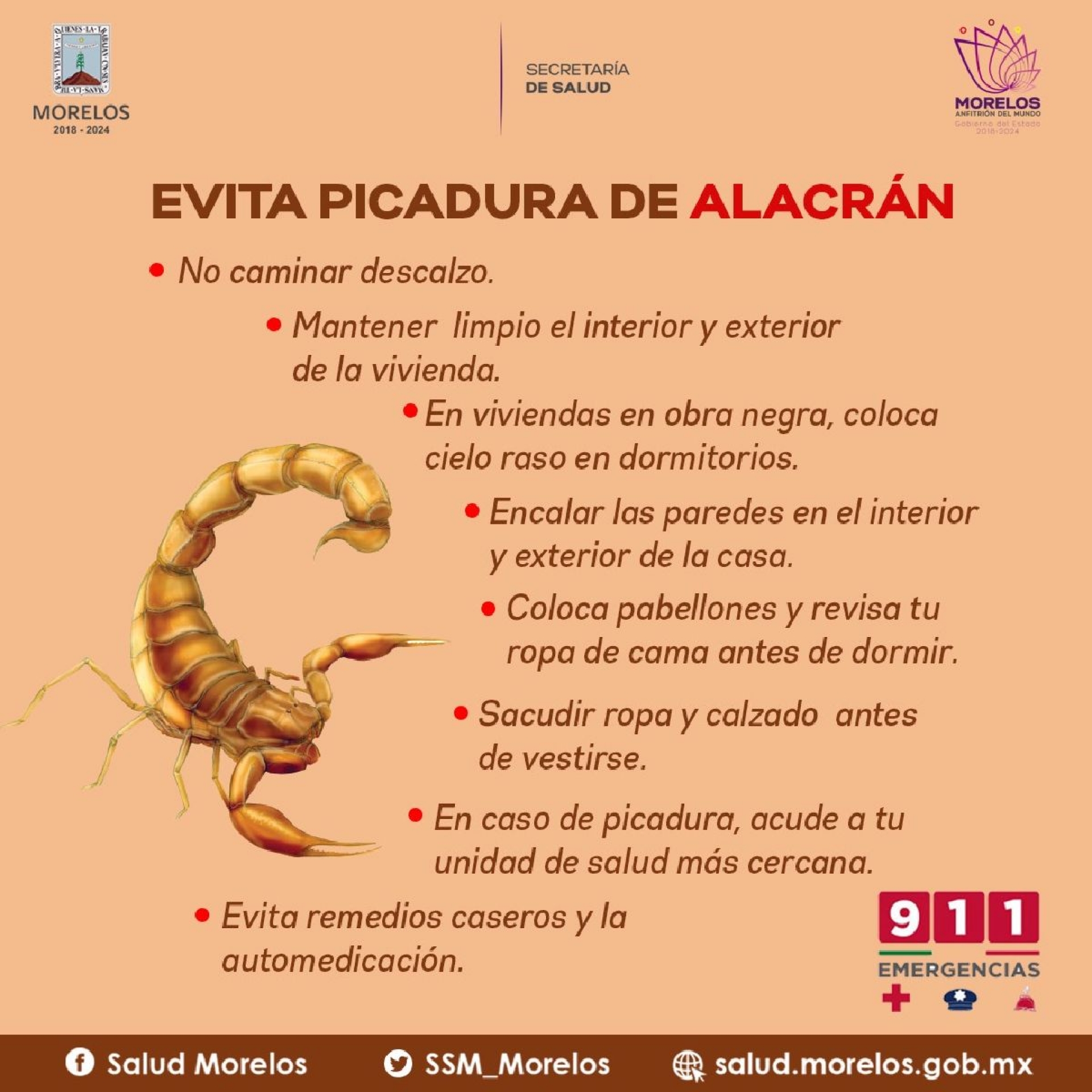 Registra Morelos reducción de casos por picadura de alacrán: SSM