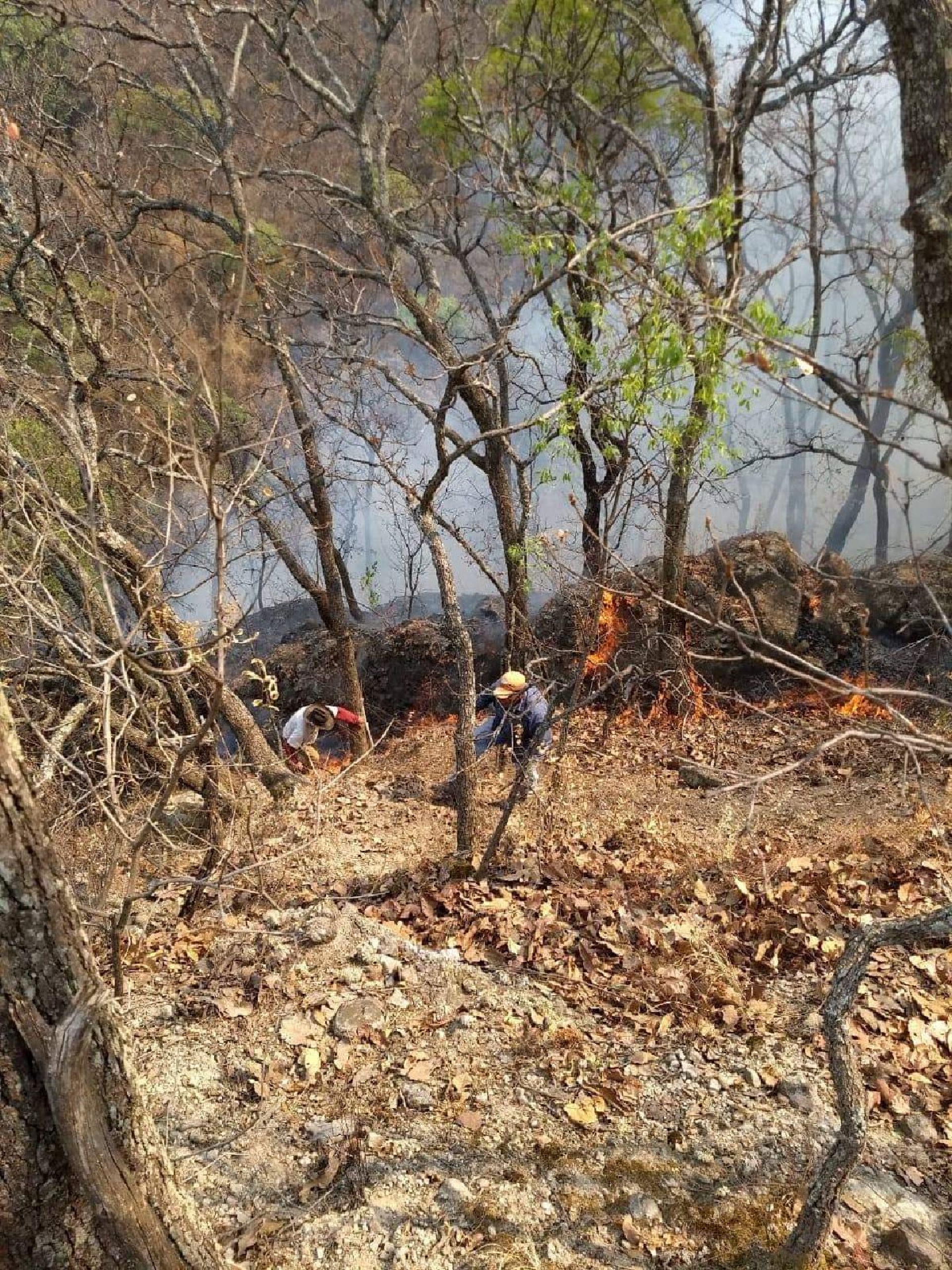 Mantienen acciones para sofocar incendio en el cerro “Ocotalito”