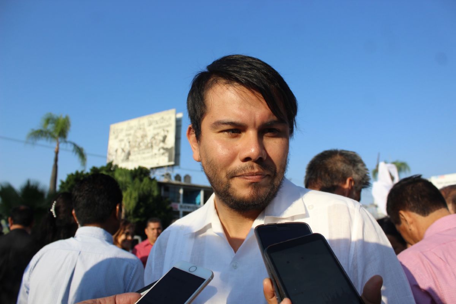 Multas por talar árboles, según altura del ejemplar derribado